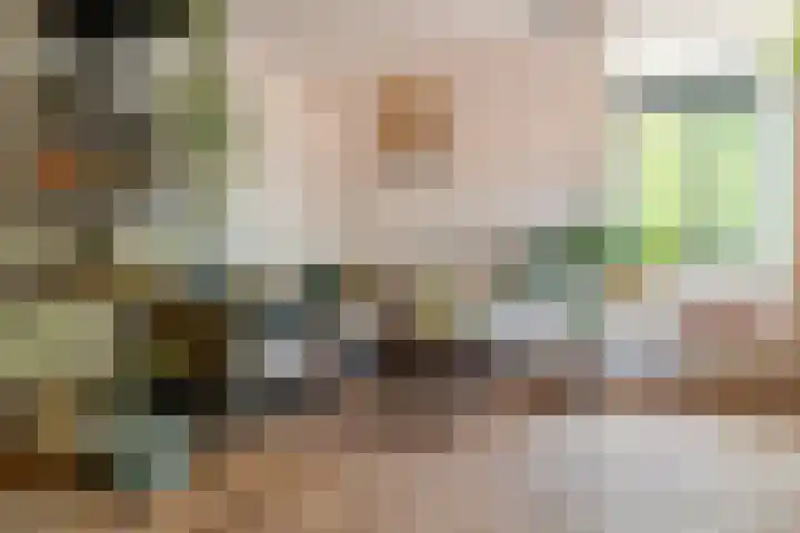 Bosveld 424 Uden thumbnail 39