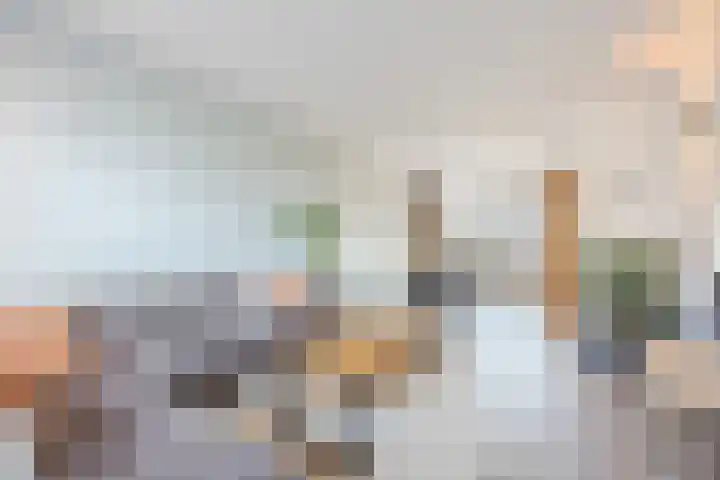 Bosveld 424 Uden thumbnail 6