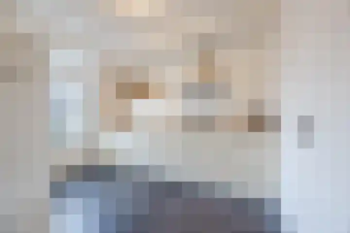 Bosveld 424 Uden thumbnail 9