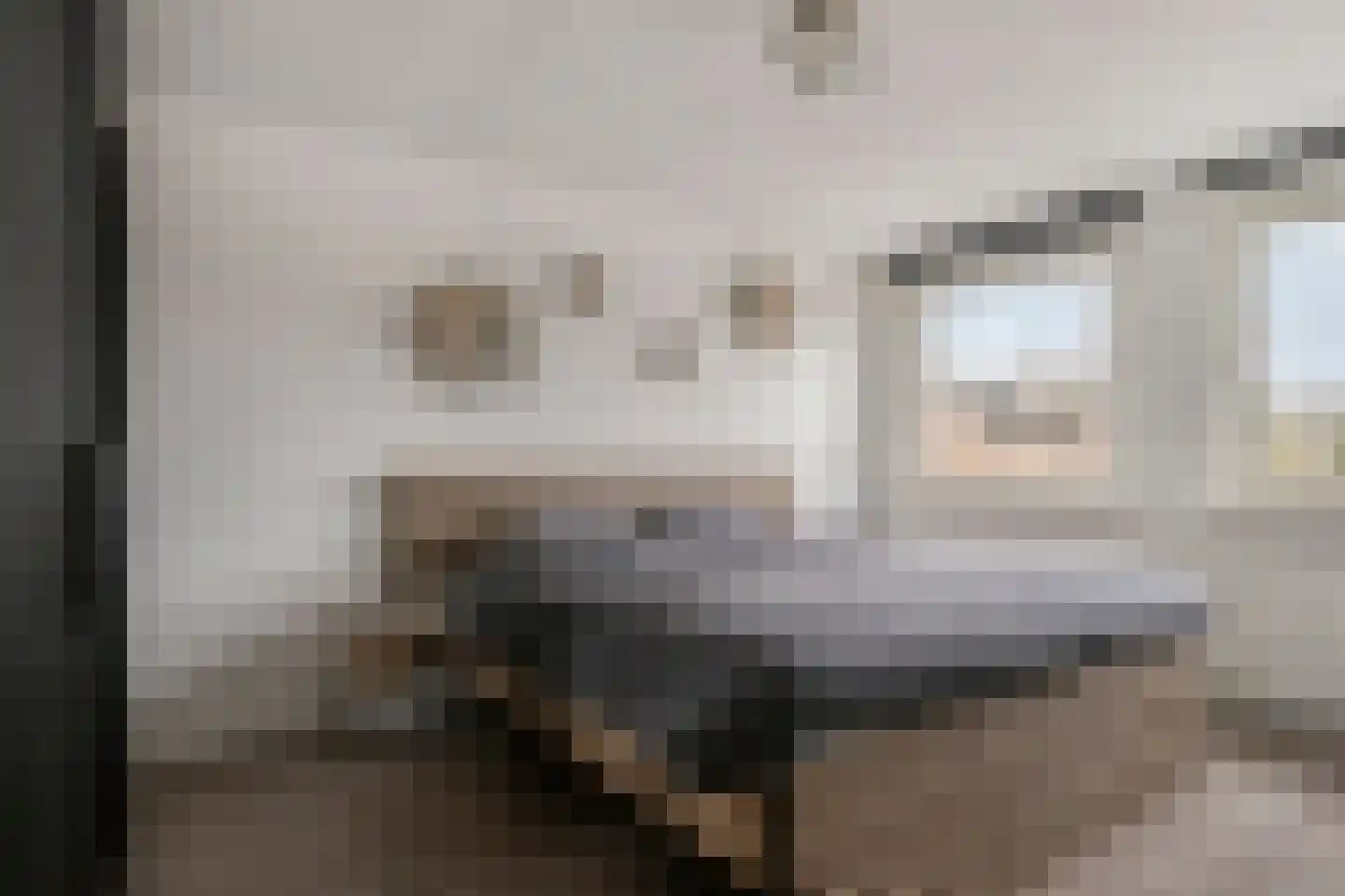 Bosveld 425 Uden thumbnail 16