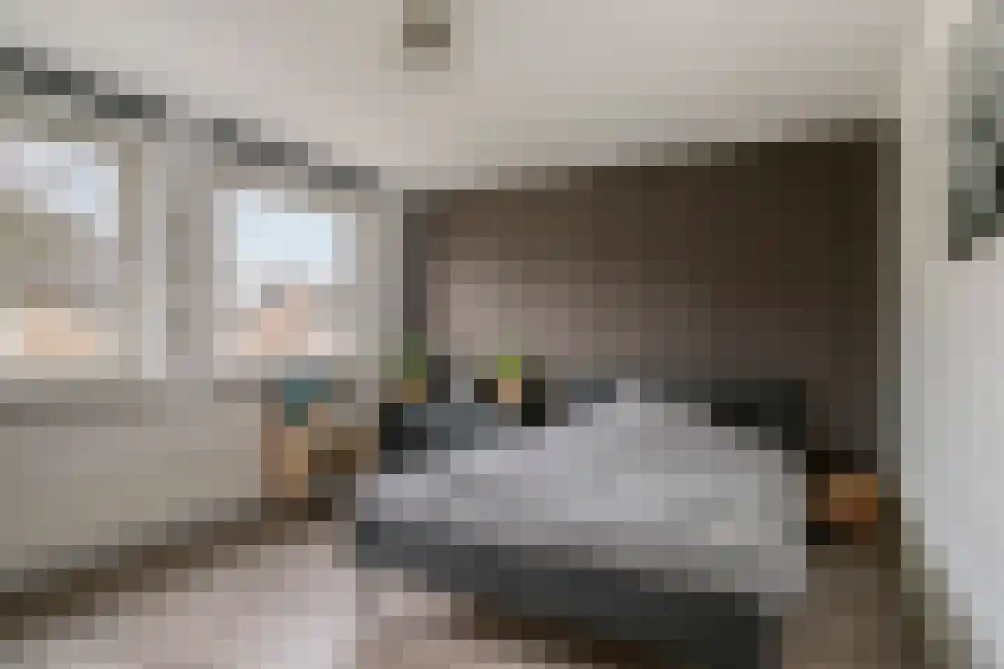 Bosveld 425 Uden thumbnail 19