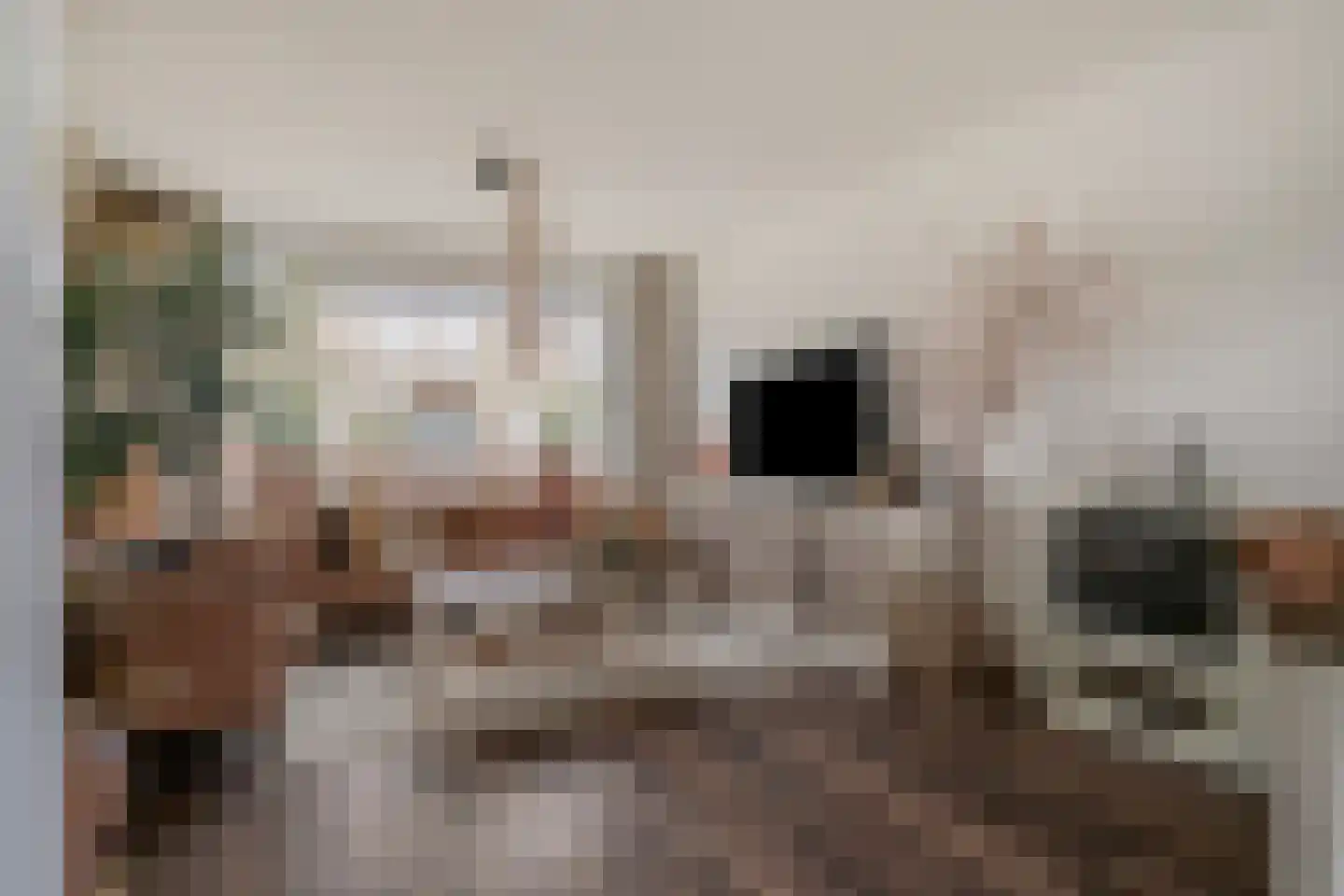 Bosveld 425 Uden thumbnail 4