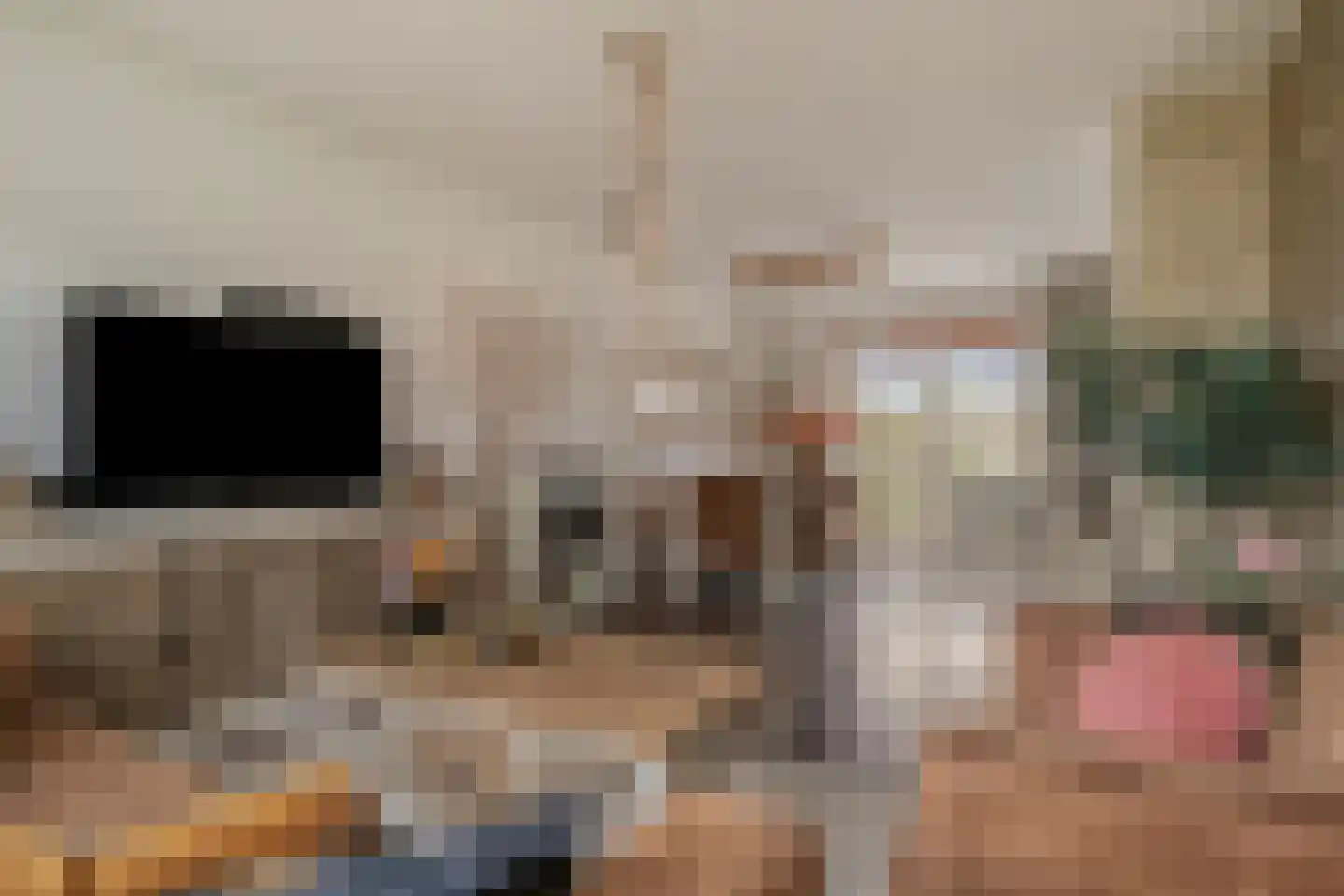 Bosveld 425 Uden thumbnail 6