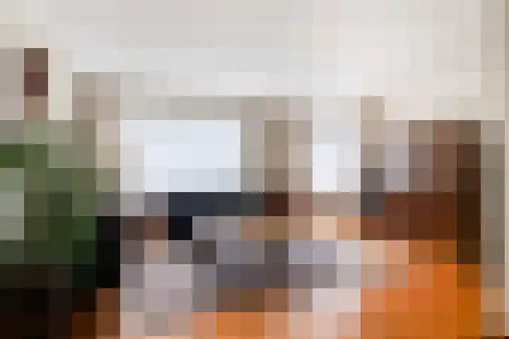 Bosveld 514 Uden foto 2