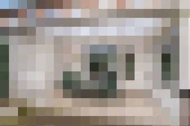 Bosveld 514 Uden thumbnail 32