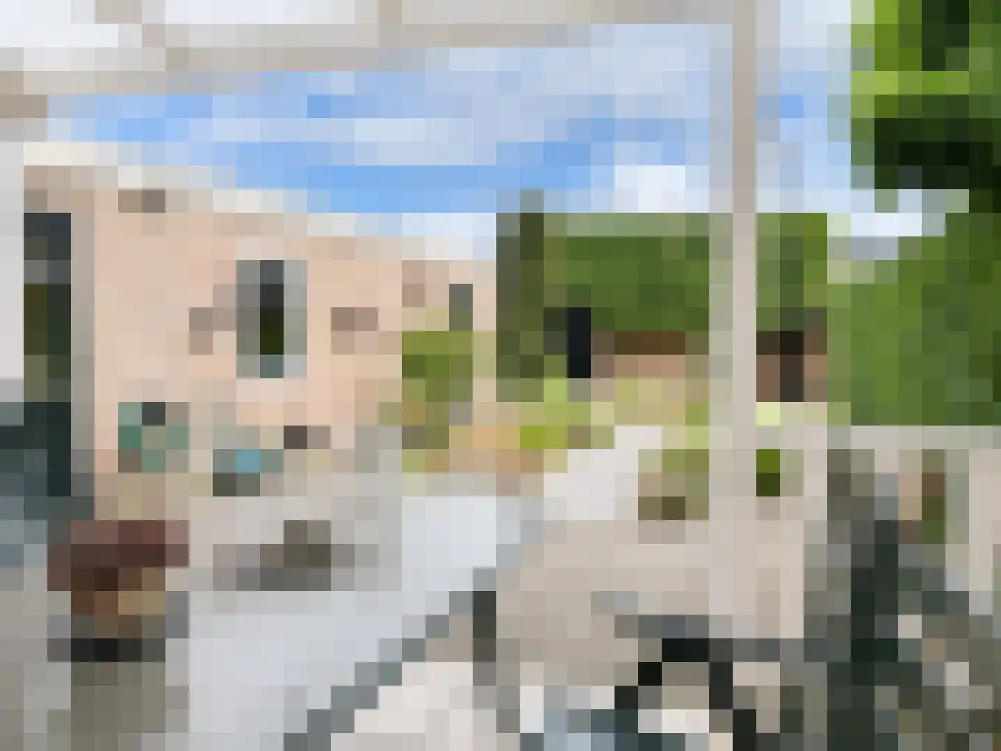 Bosveld 514 Uden thumbnail 33