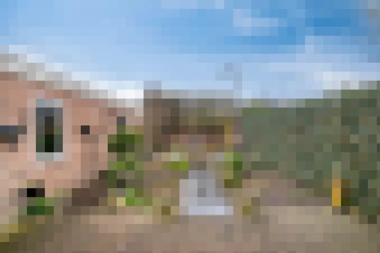 Bosveld 514 Uden thumbnail 33