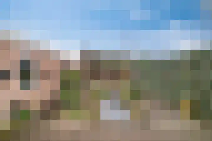Bosveld 514 Uden thumbnail 33