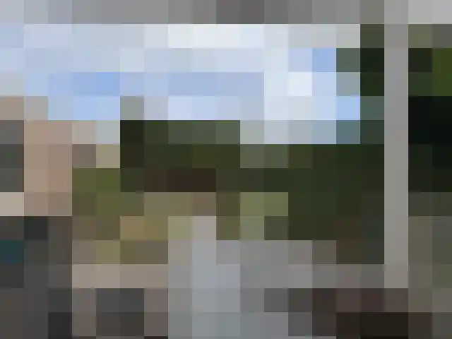 Bosveld 514 Uden thumbnail 33