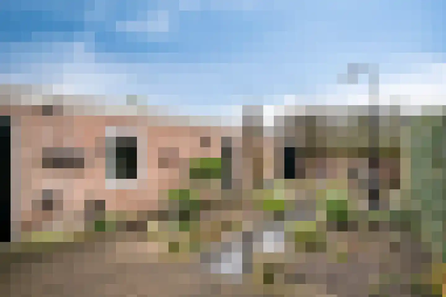 Bosveld 514 Uden thumbnail 34