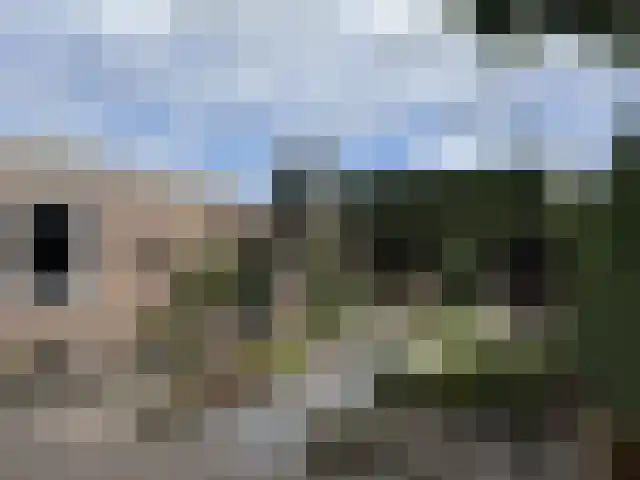 Bosveld 514 Uden thumbnail 34