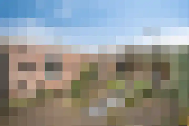 Bosveld 514 Uden thumbnail 34