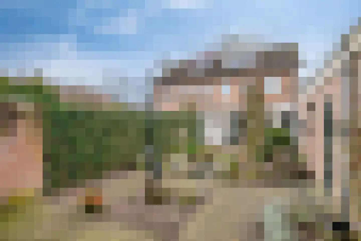 Bosveld 514 Uden thumbnail 37