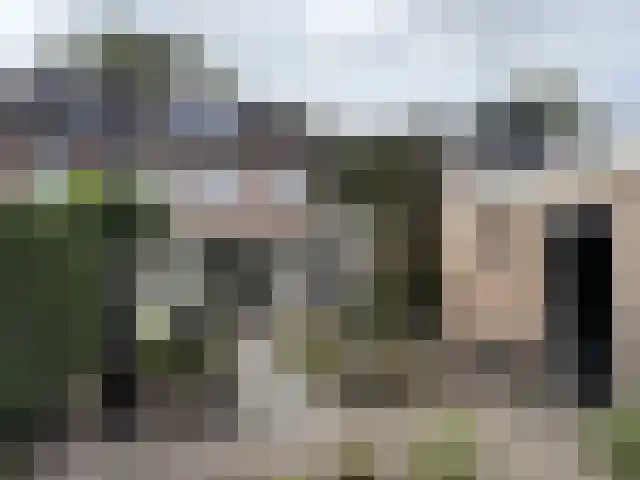 Bosveld 514 Uden thumbnail 37