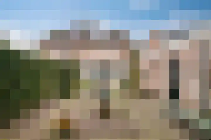 Bosveld 514 Uden thumbnail 38