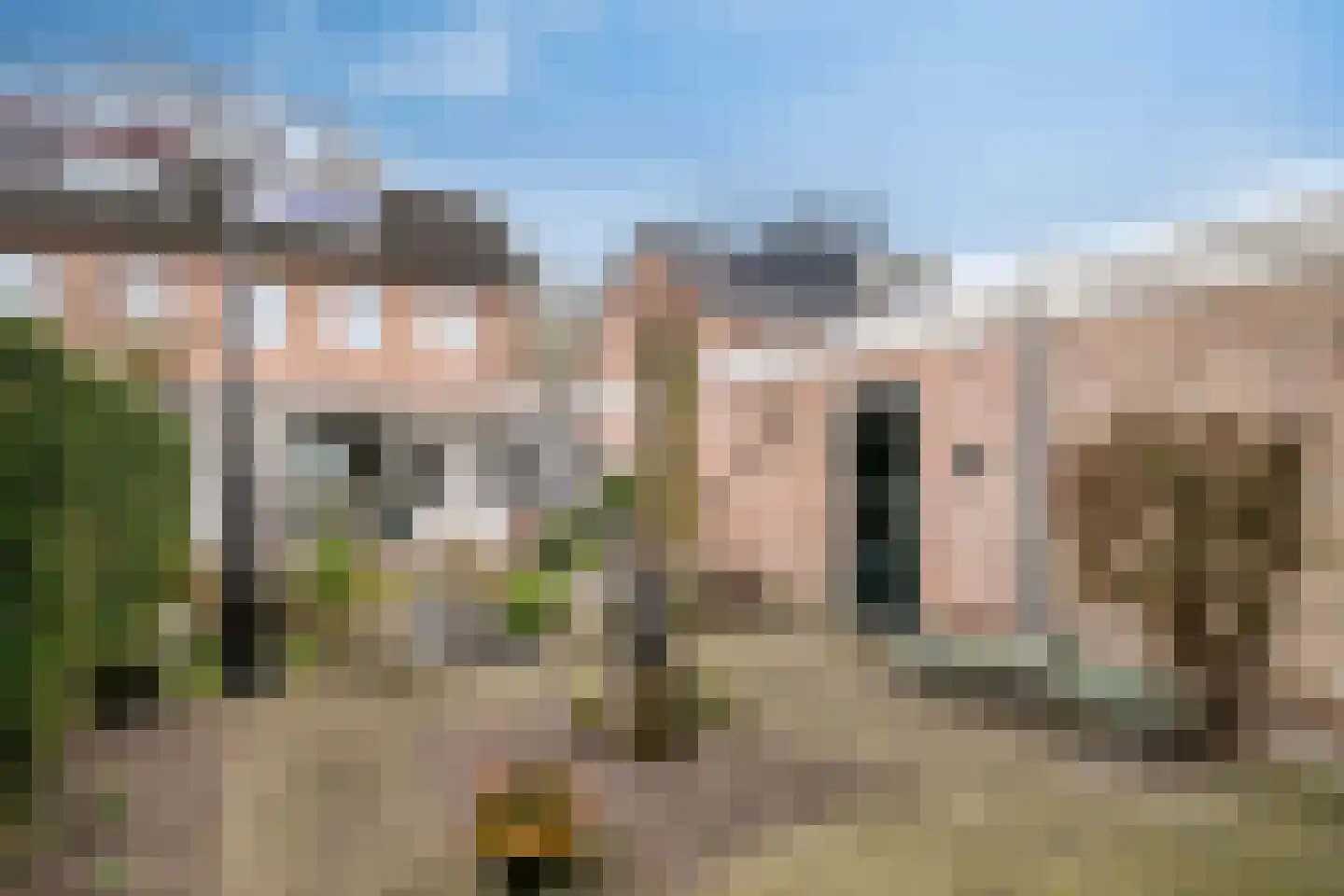 Bosveld 514 Uden thumbnail 39