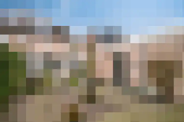 Bosveld 514 Uden thumbnail 39