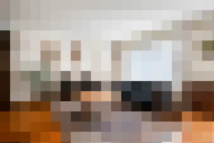 Bosveld 514 Uden thumbnail 4