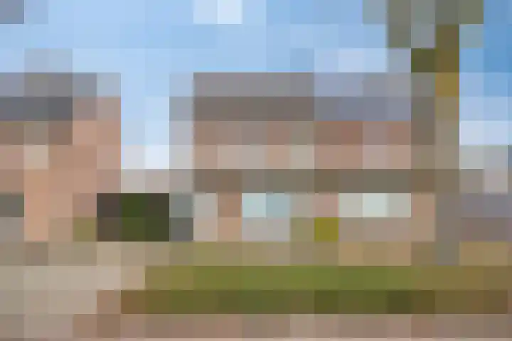 Bosveld 514 Uden thumbnail 40