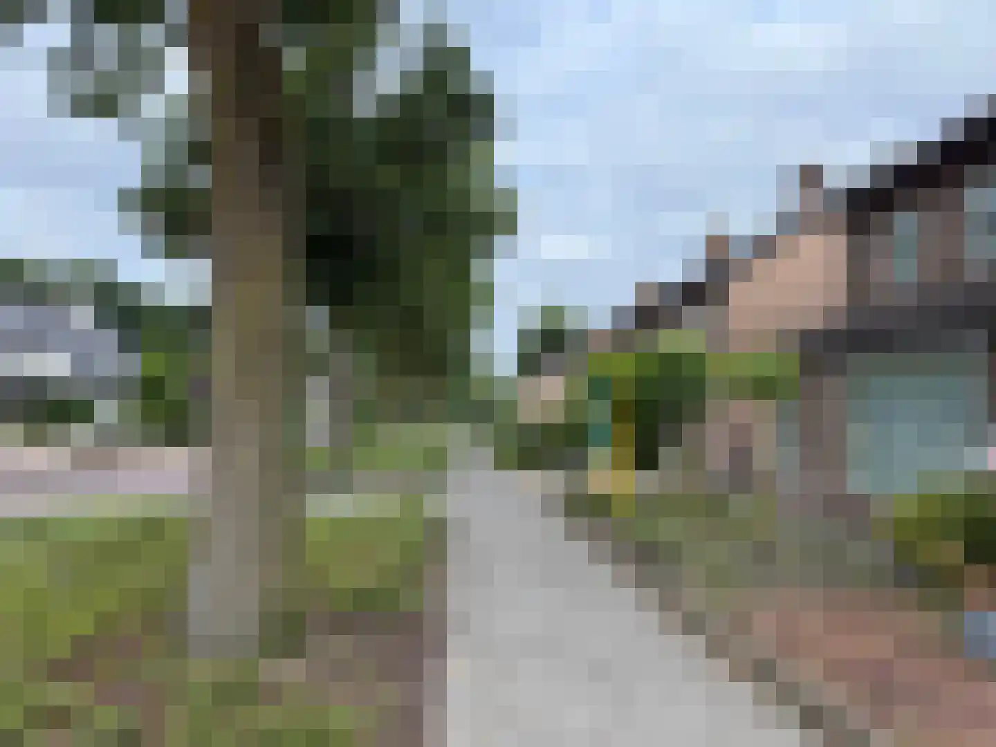 Bosveld 514 Uden thumbnail 41