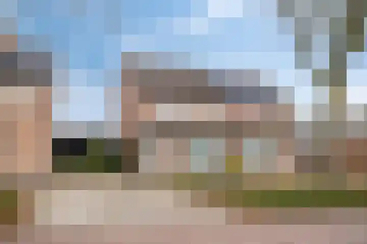 Bosveld 514 Uden thumbnail 41