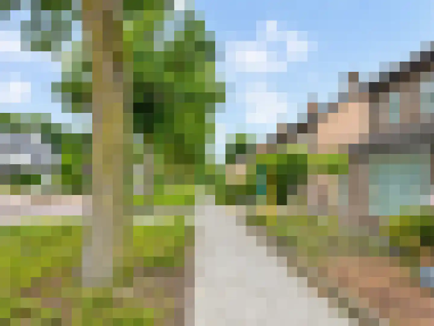 Bosveld 514 Uden thumbnail 43