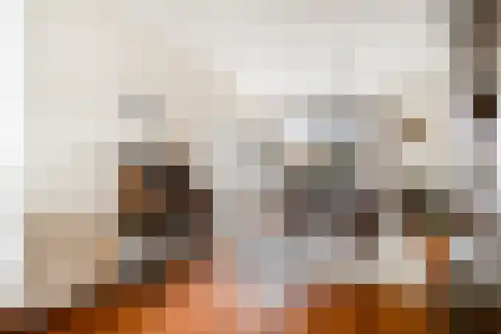 Bosveld 514 Uden thumbnail 7