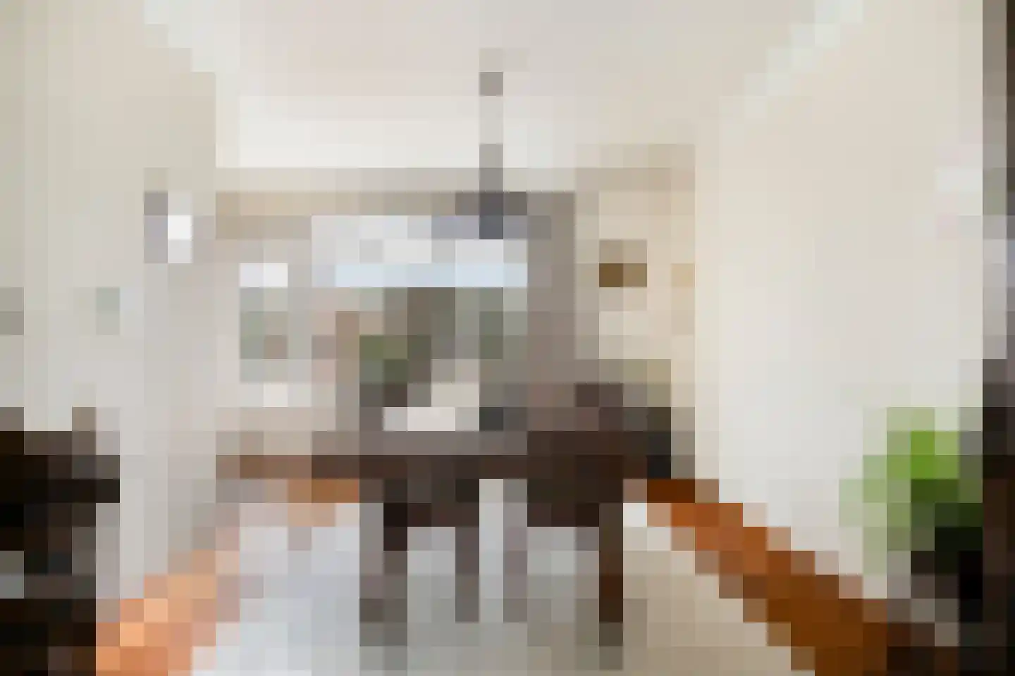Bosveld 514 Uden thumbnail 8