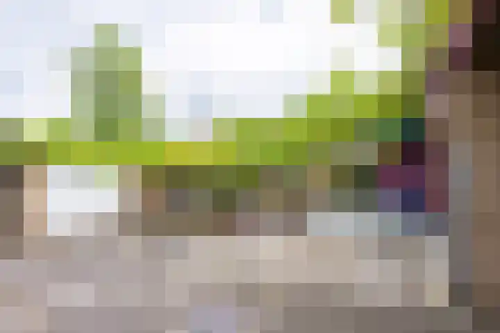 Bosveldstraat 20 Kerkrade thumbnail 23