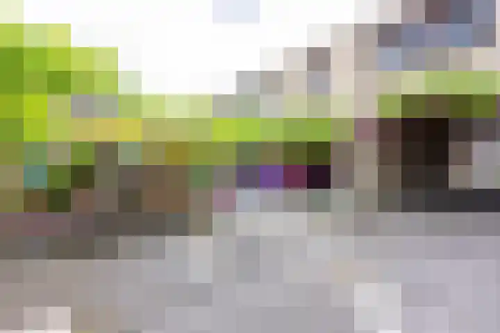 Bosveldstraat 20 Kerkrade thumbnail 25