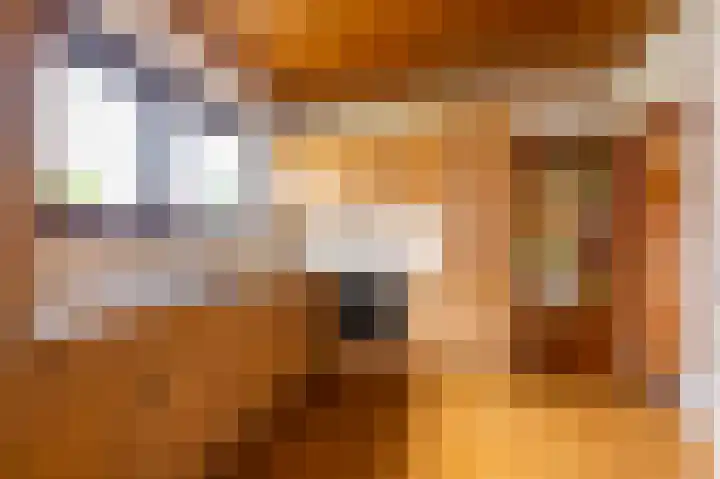 Bosveldstraat 20 Kerkrade thumbnail 7