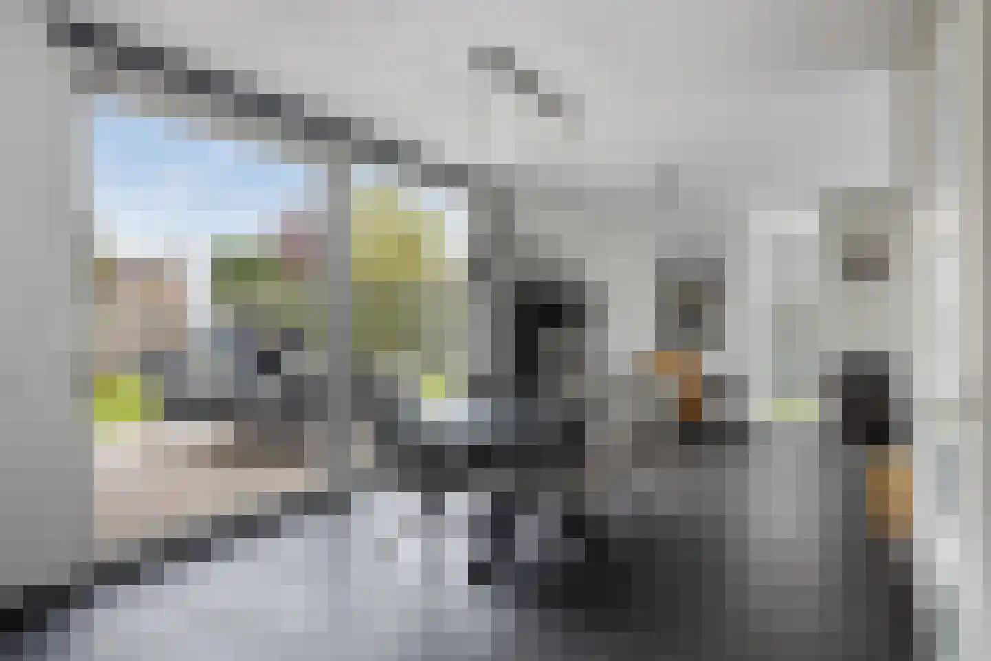 Bosveldweg 24 Maastricht thumbnail 10