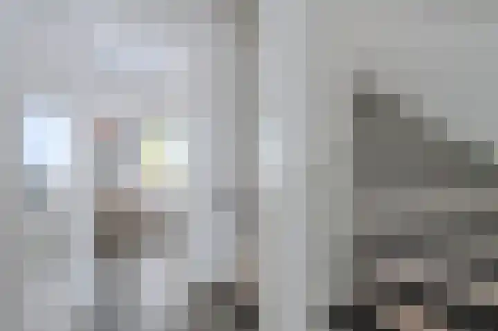 Bosven 100 Deurne thumbnail 15