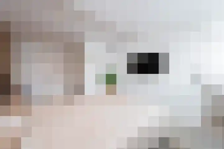 Bosven 100 Deurne thumbnail 30