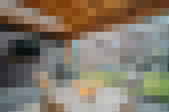 Bosven 100 Deurne thumbnail 41
