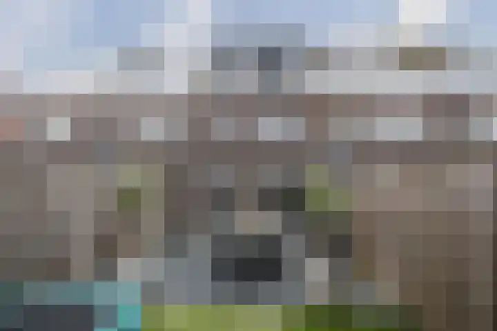 Bosven 100 Deurne thumbnail 43