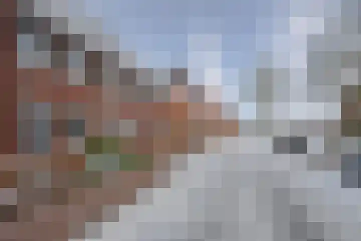 Bosven 100 Deurne thumbnail 44