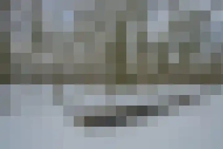 Bosven 100 Deurne thumbnail 45