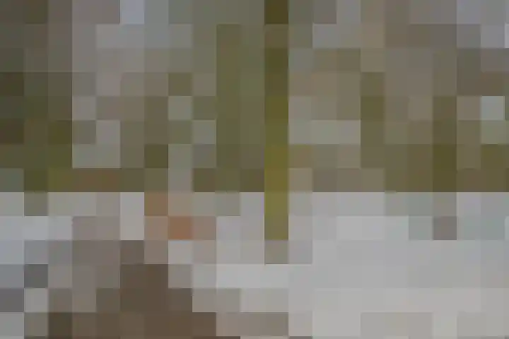 Bosven 100 Deurne thumbnail 46