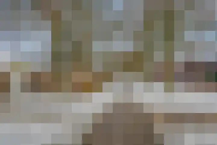 Bosven 100 Deurne thumbnail 47