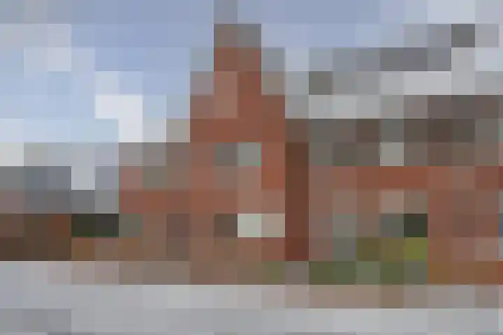 Bosven 100 Deurne thumbnail 48
