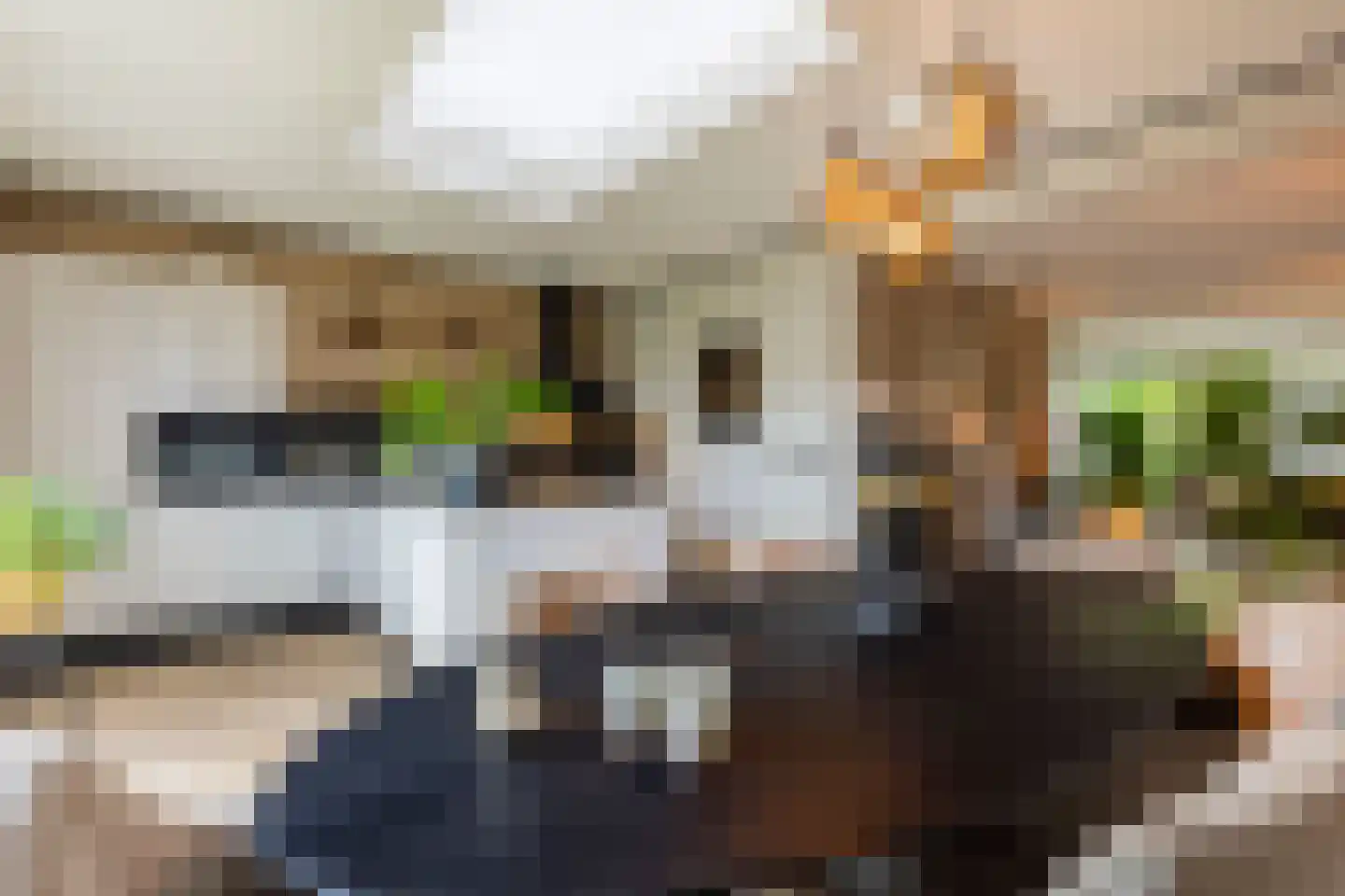 Bosven 11 Enschede thumbnail 19
