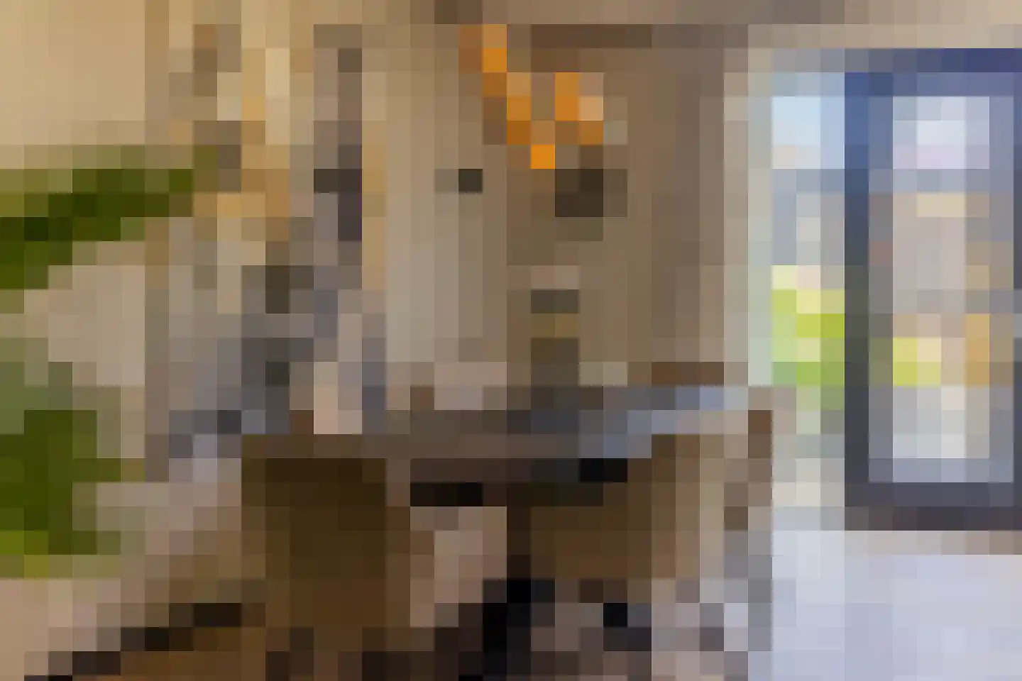 Bosven 11 Enschede thumbnail 20