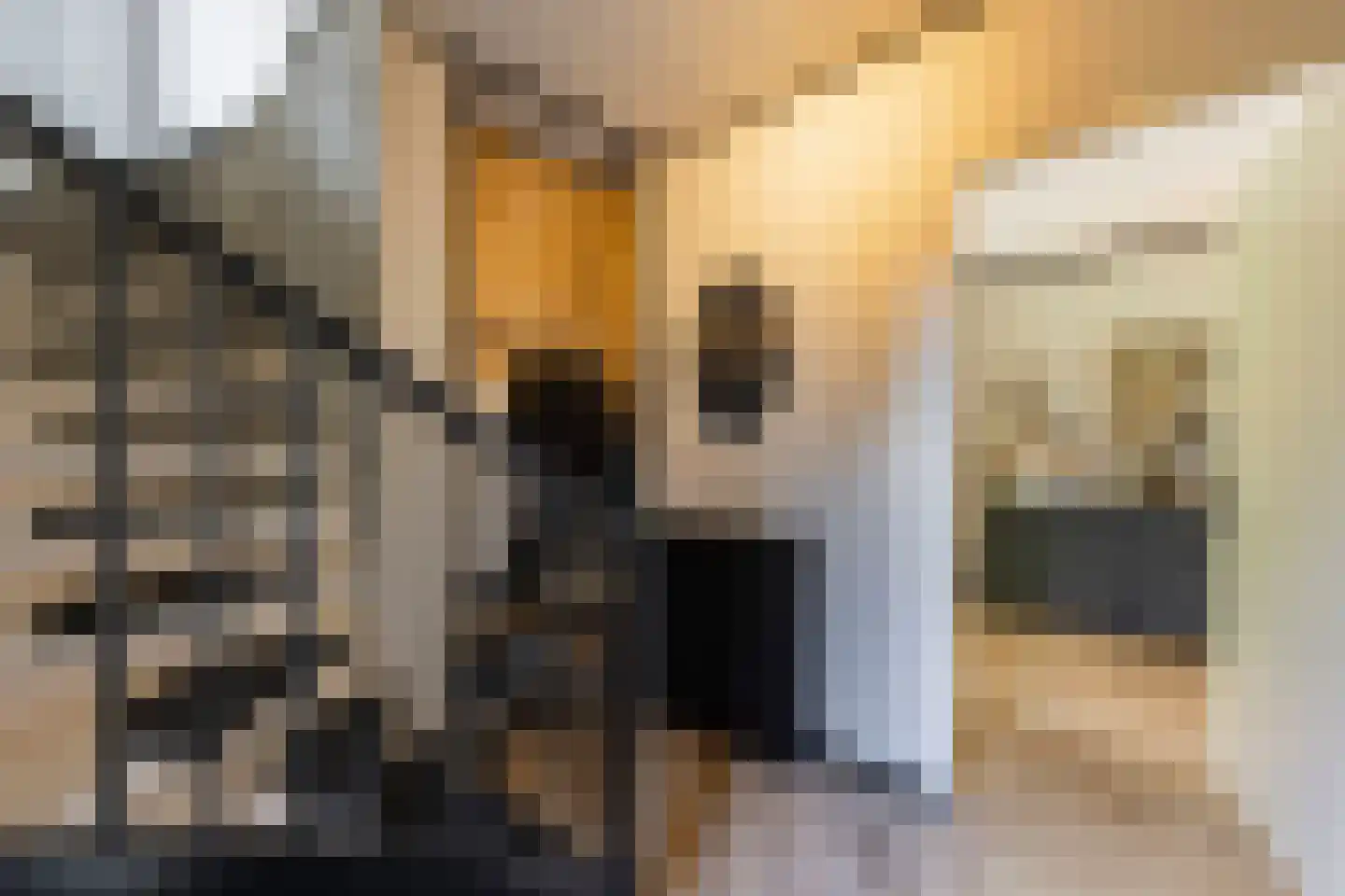 Bosven 11 Enschede thumbnail 22