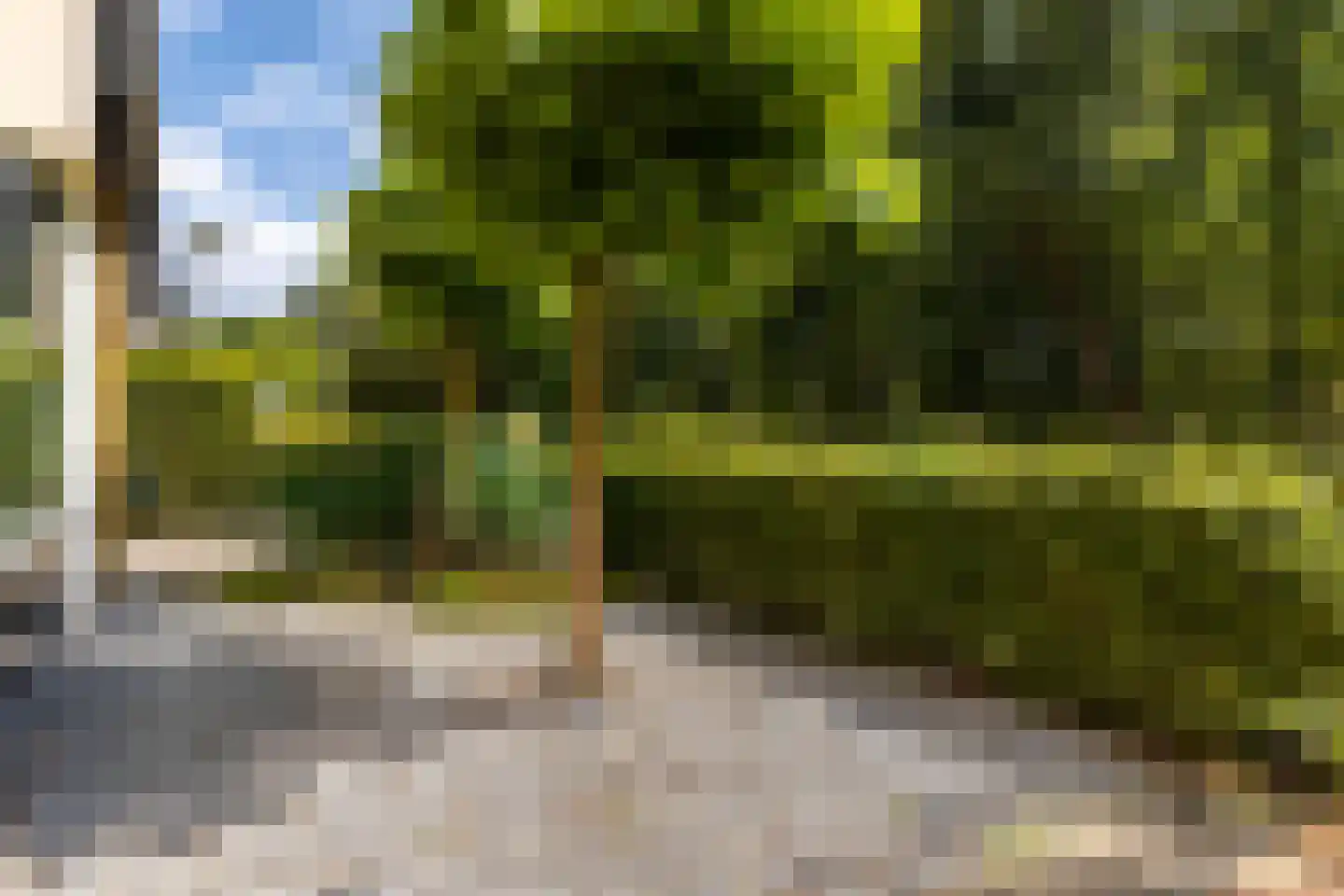 Bosven 11 Enschede thumbnail 39
