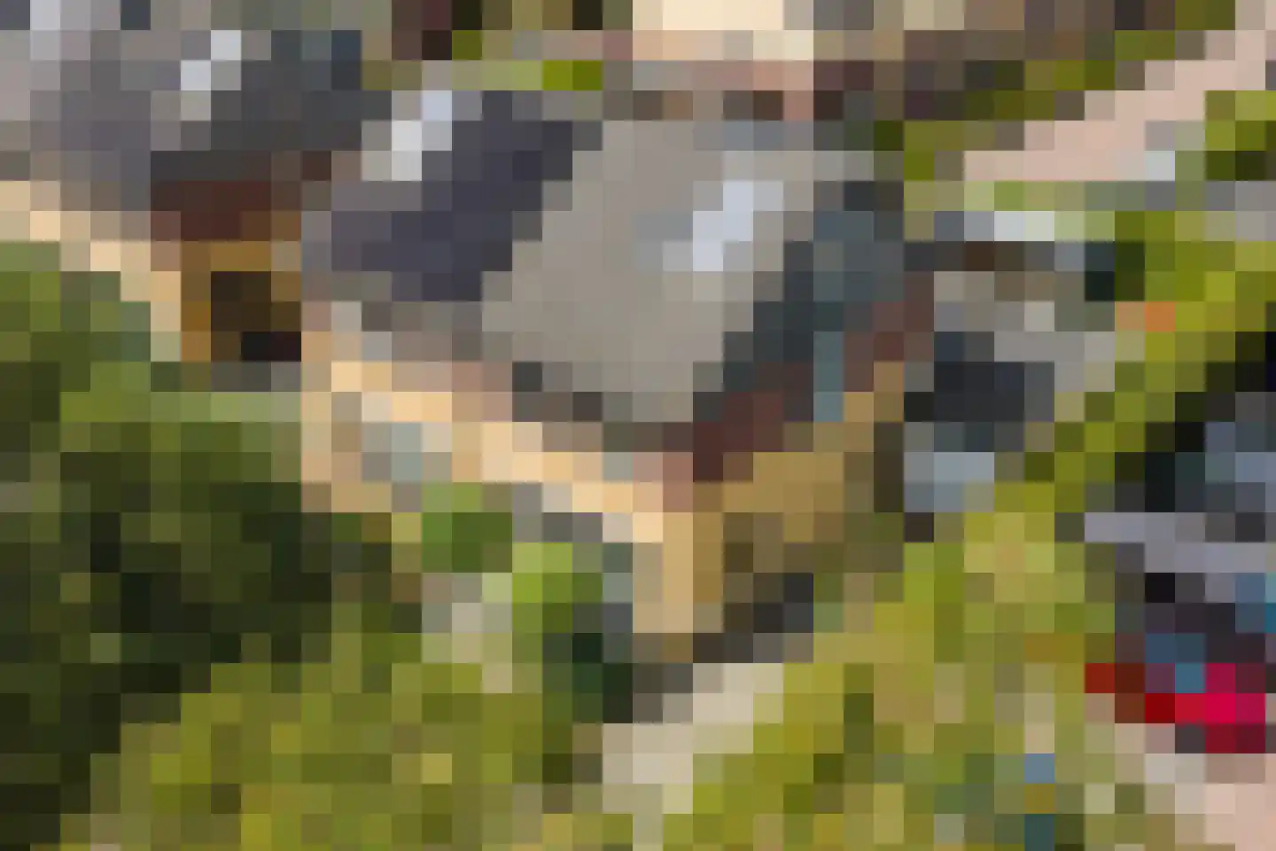 Bosven 11 Enschede thumbnail 41