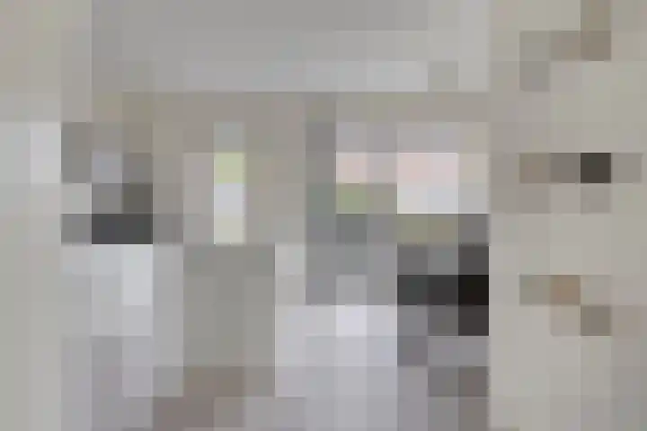 Bosven 20 Deurne thumbnail 11