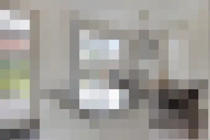 Bosven 20 Deurne thumbnail 12