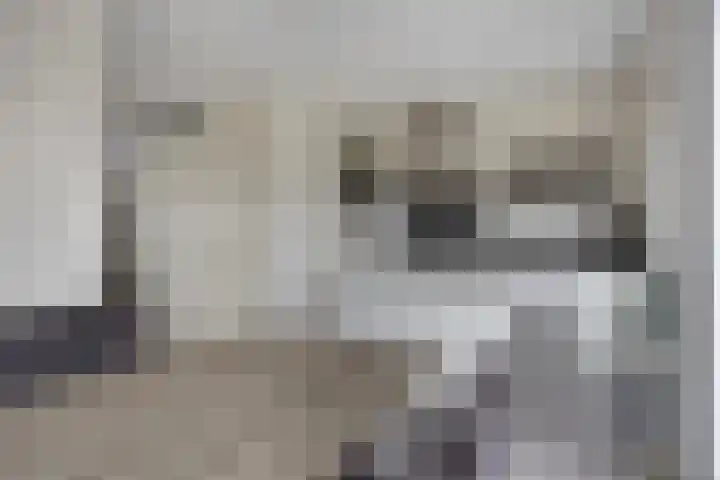 Bosven 20 Deurne thumbnail 13