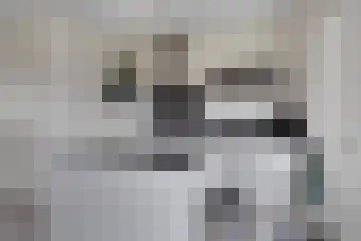 Bosven 20 Deurne thumbnail 14